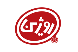 شرکت روژین